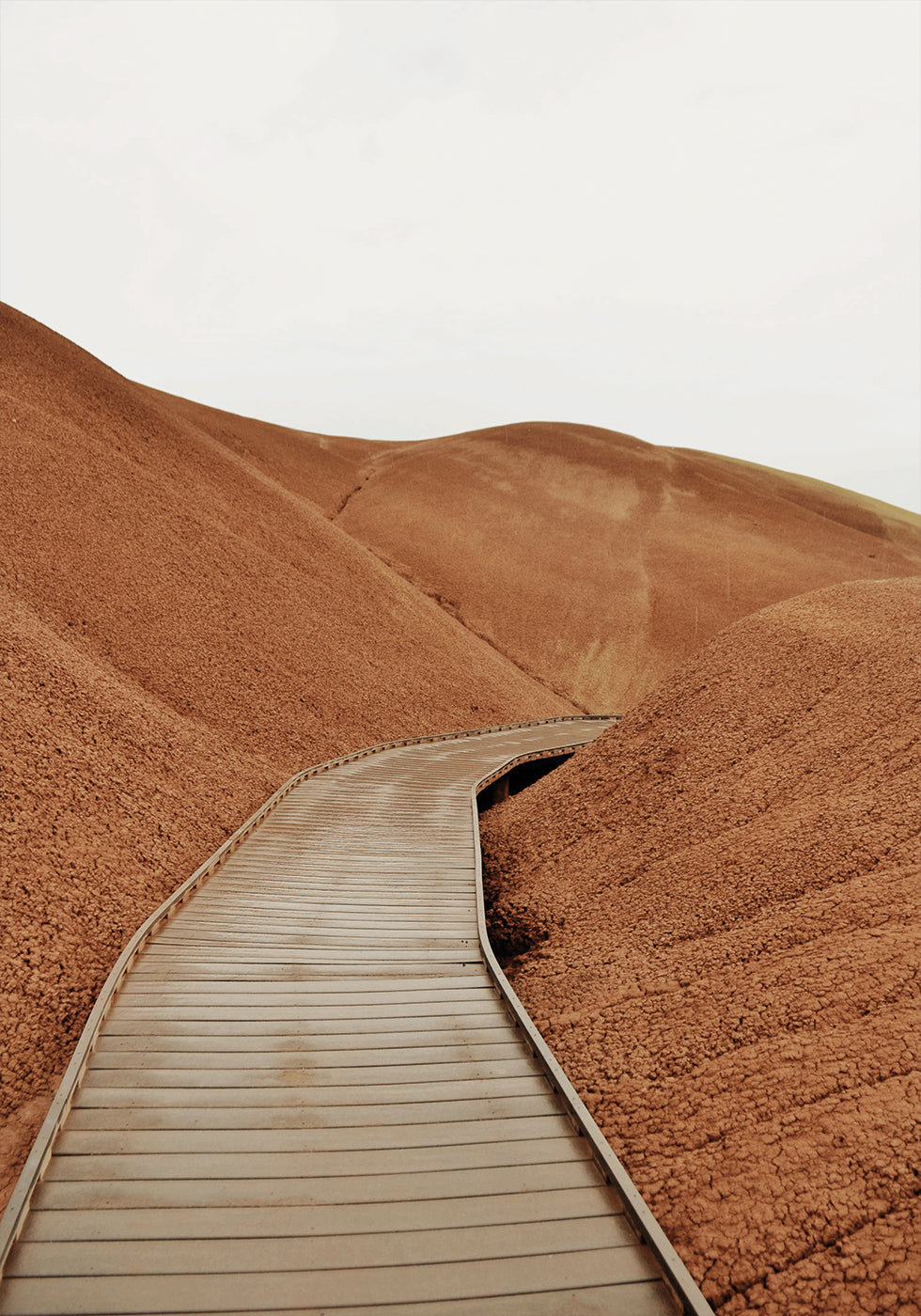 Painted Hills Boardwalk Poster