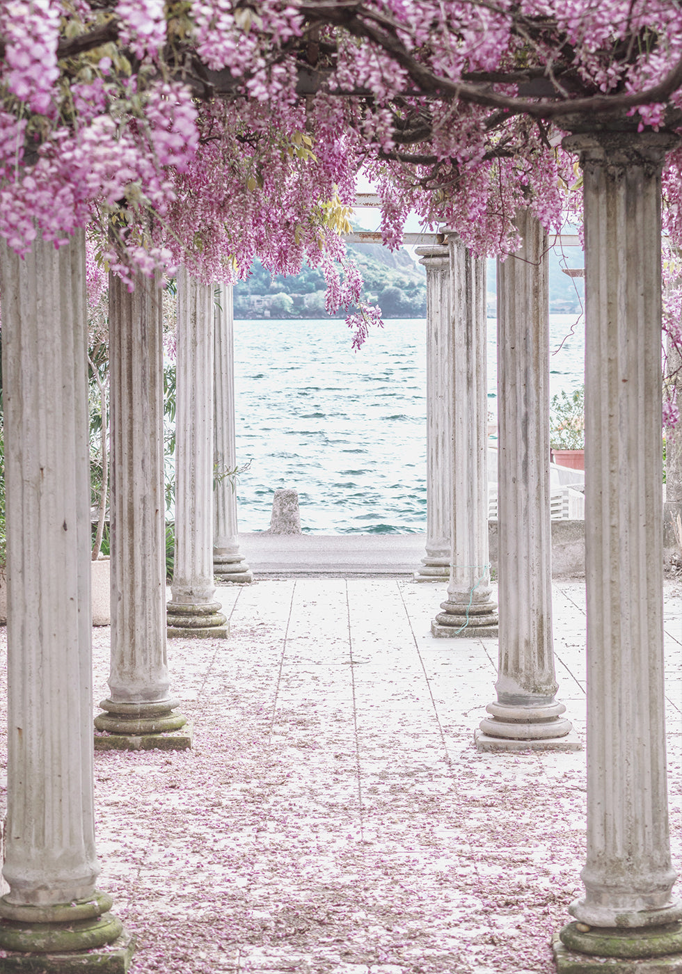 Pillars and Wisteria Flowers Poster