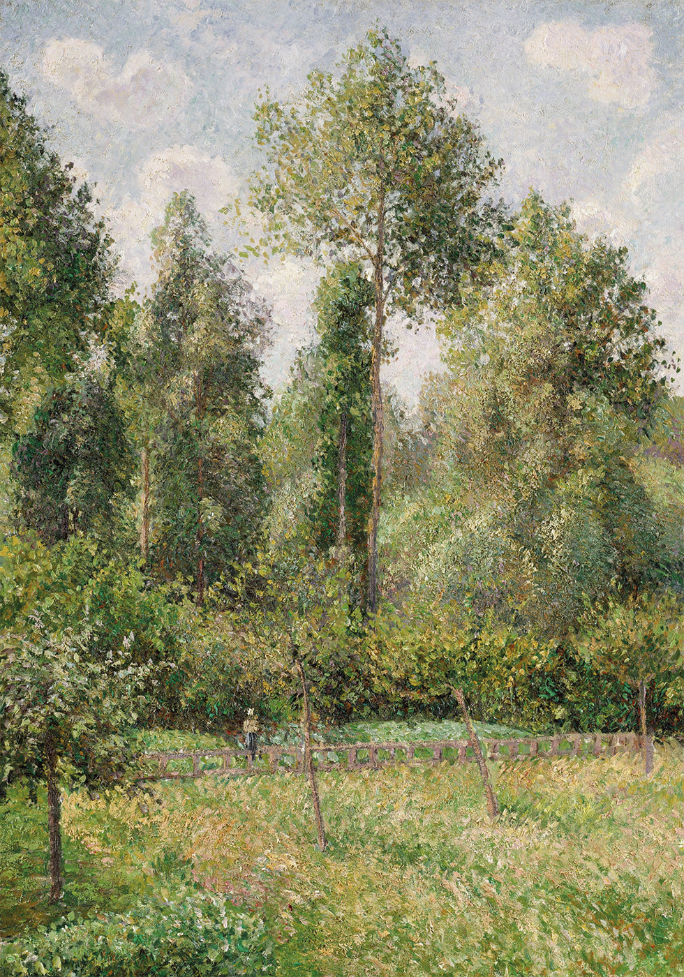 Poplars Éragny By Camille Pissarro Poster