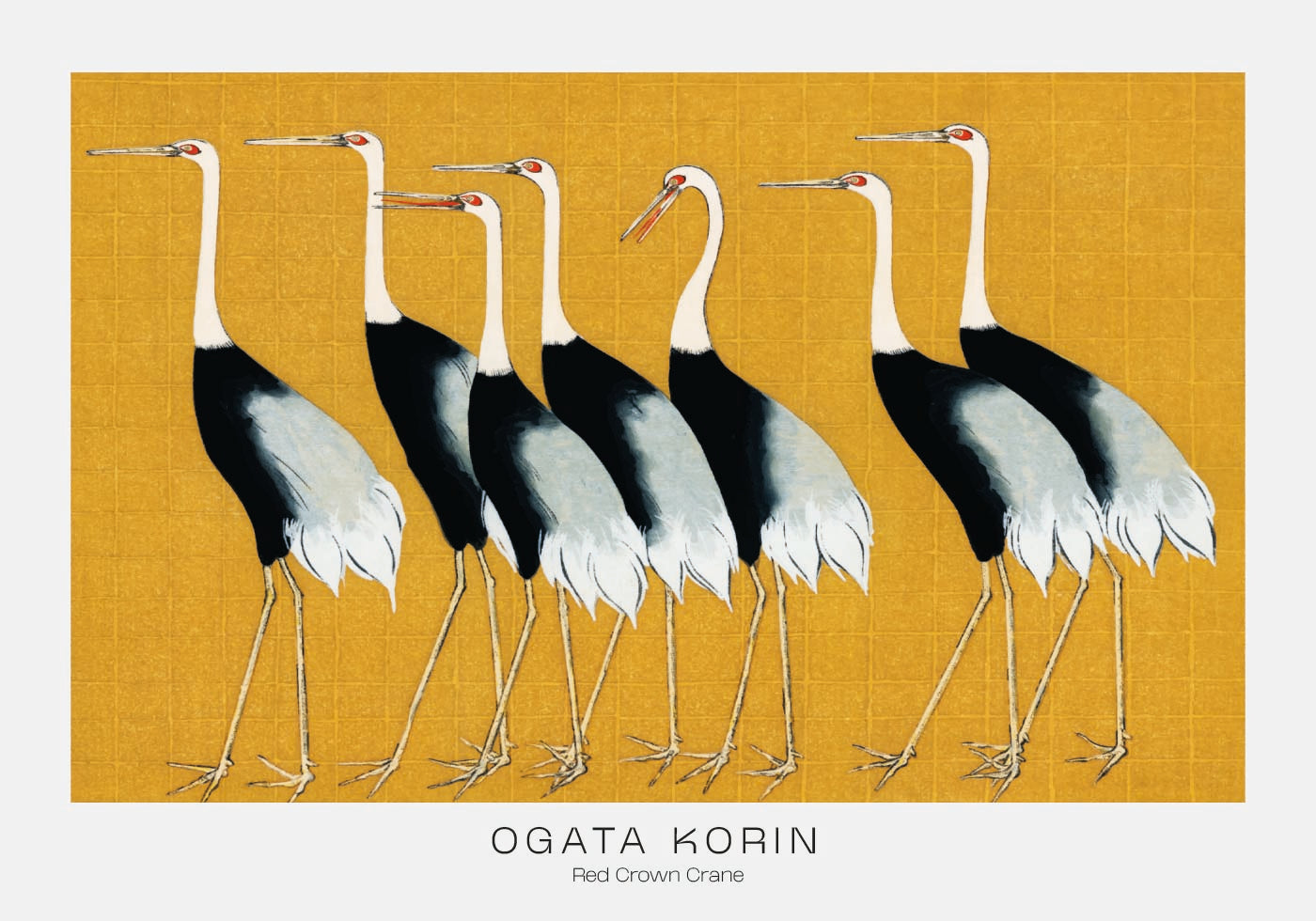 Red Crown Crane By Ogata Korin Poster