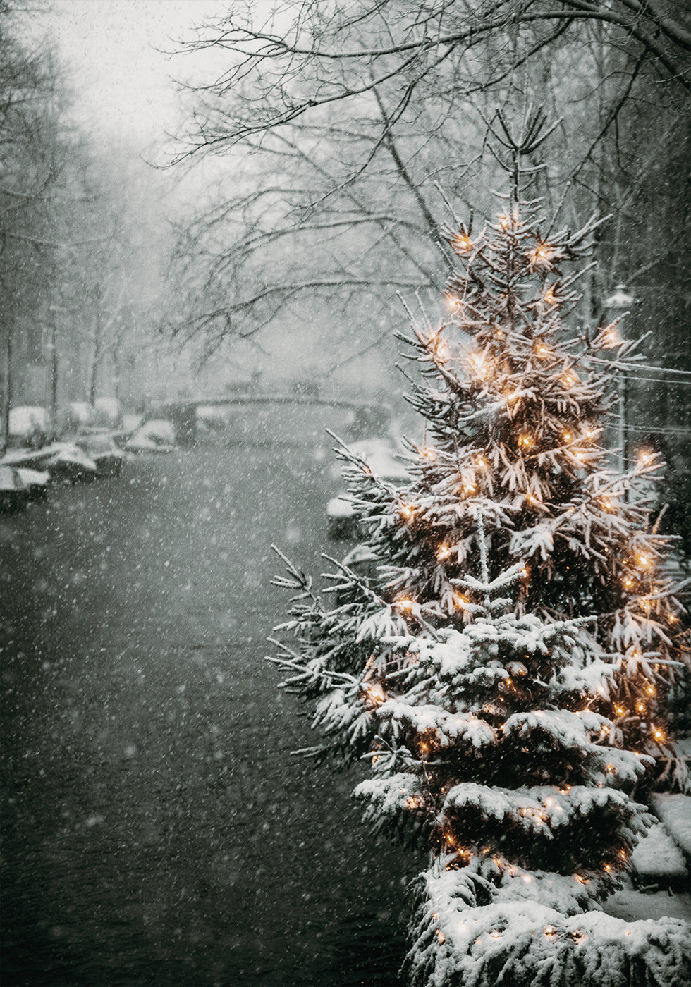 Christmas Tree by Snowy Canal Poster