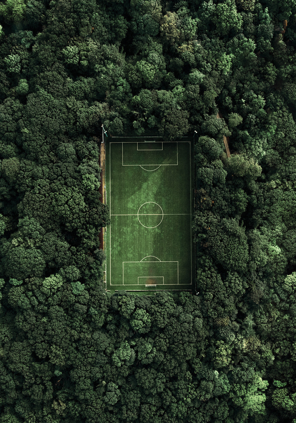 Soccer Field In The Forest Poster