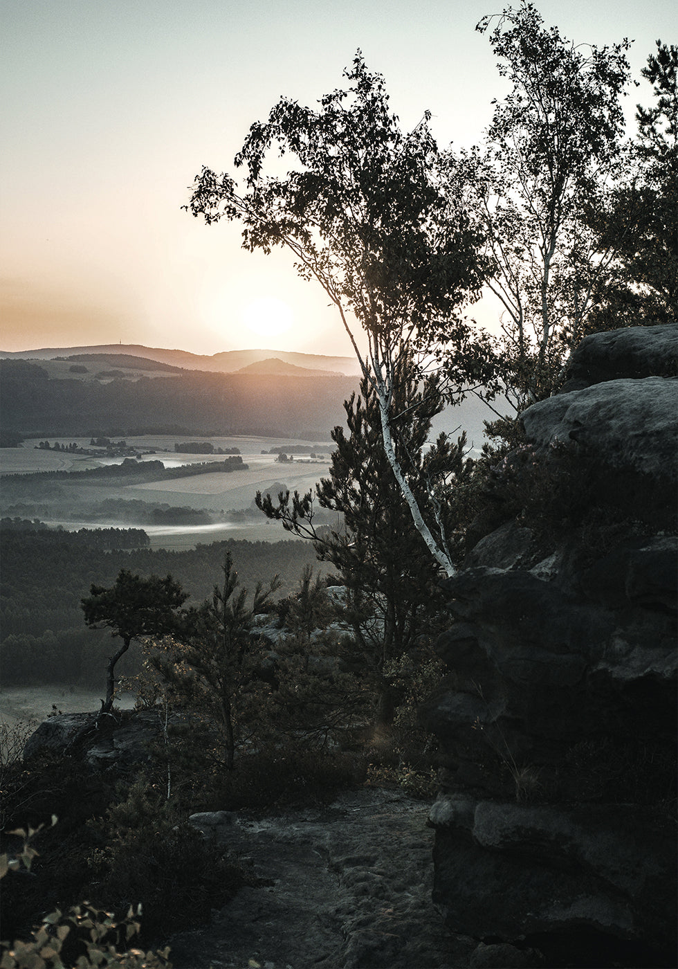 Sunrise In Nationalpark, Switzerland Poster