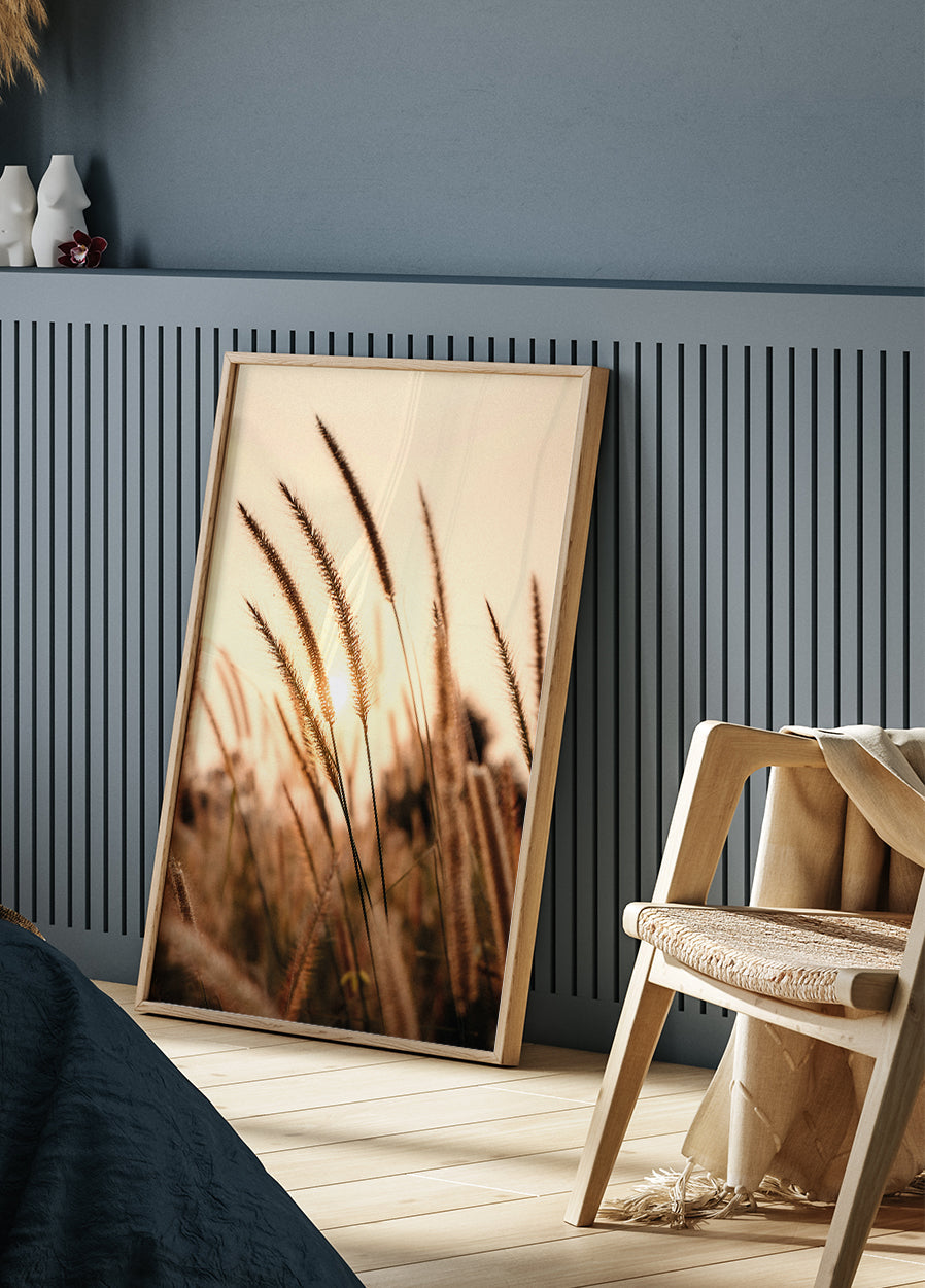 Sunset Dry Grass Poster