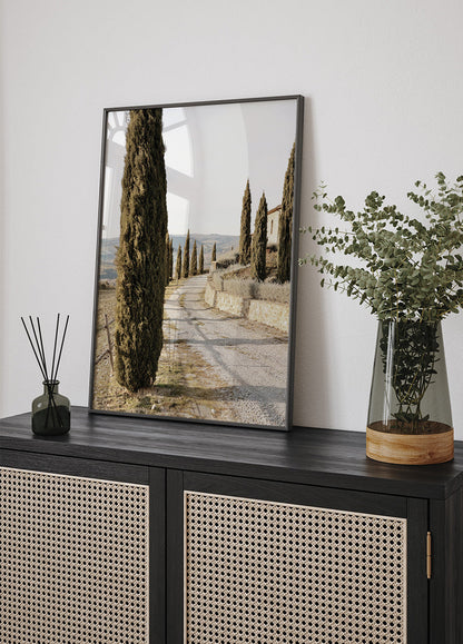 Tuscan Cypress Street Poster