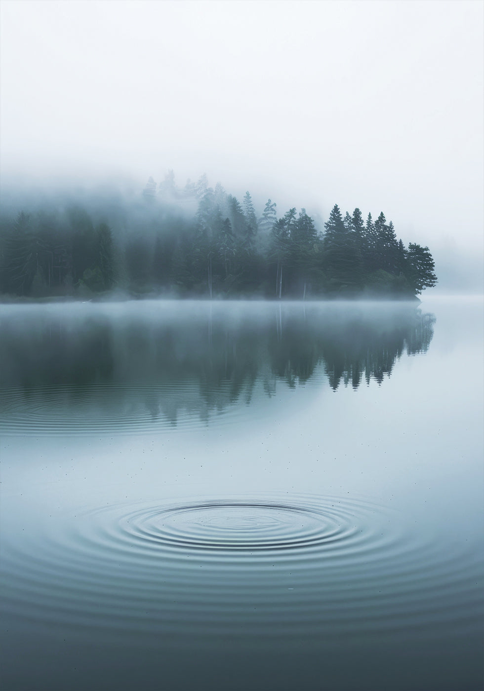 Water Ripples and Foggy Forest Poster