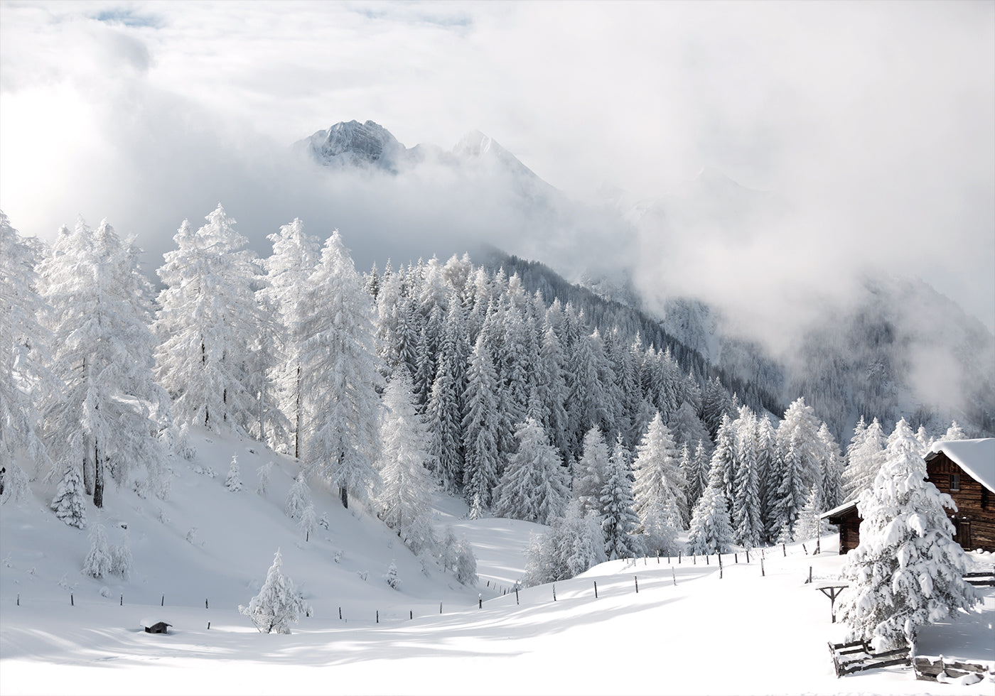 Winter Magic in the Alps Poster