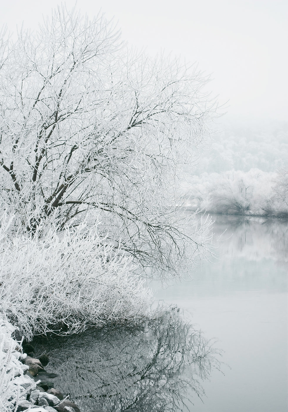 Winter Lake Poster