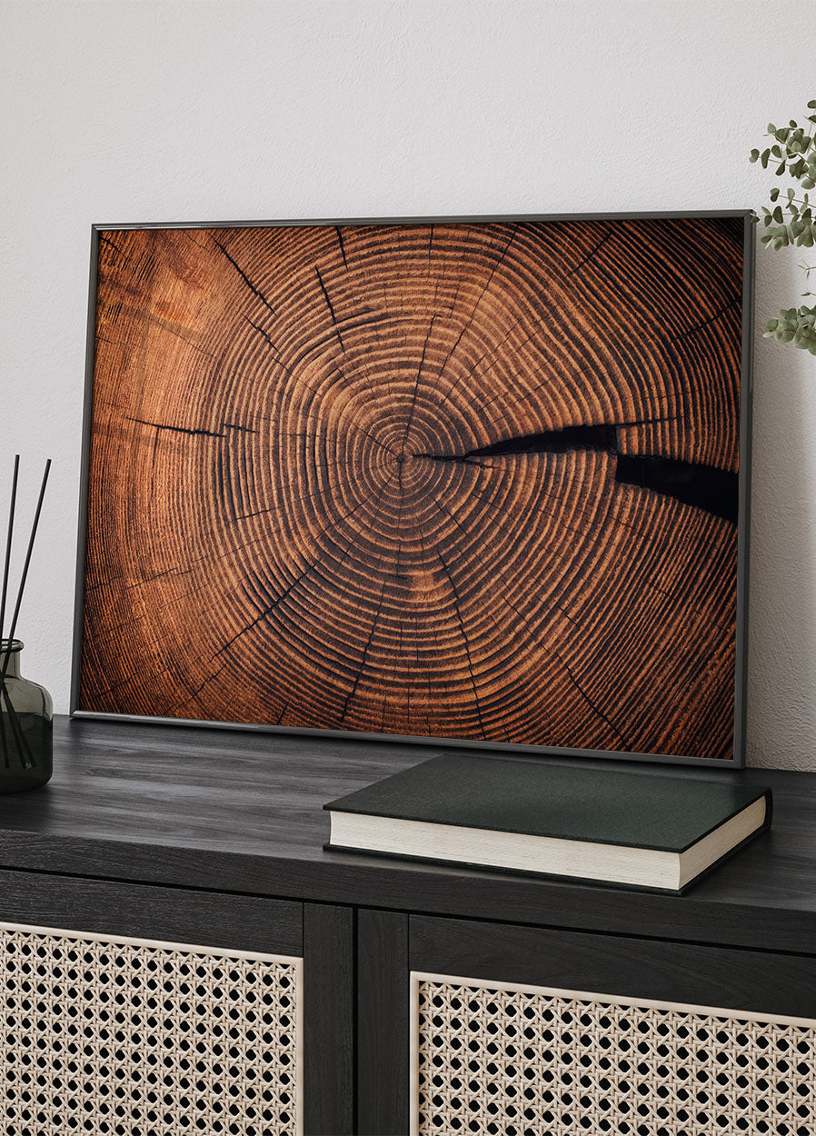 Wood Grain Circular Patterns Poster