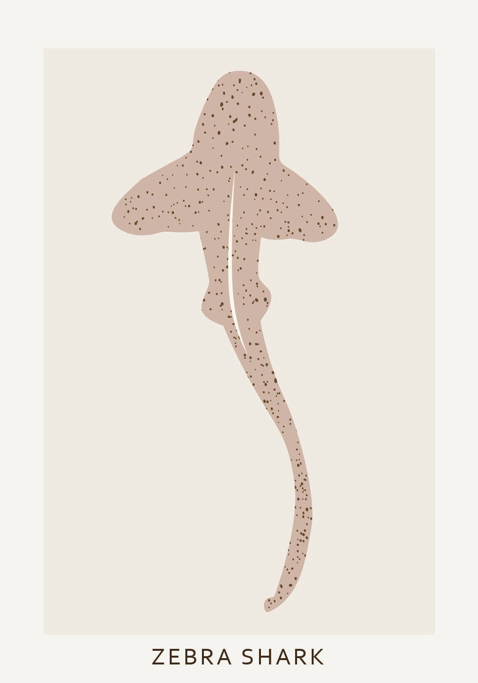 Zebra Shark Poster