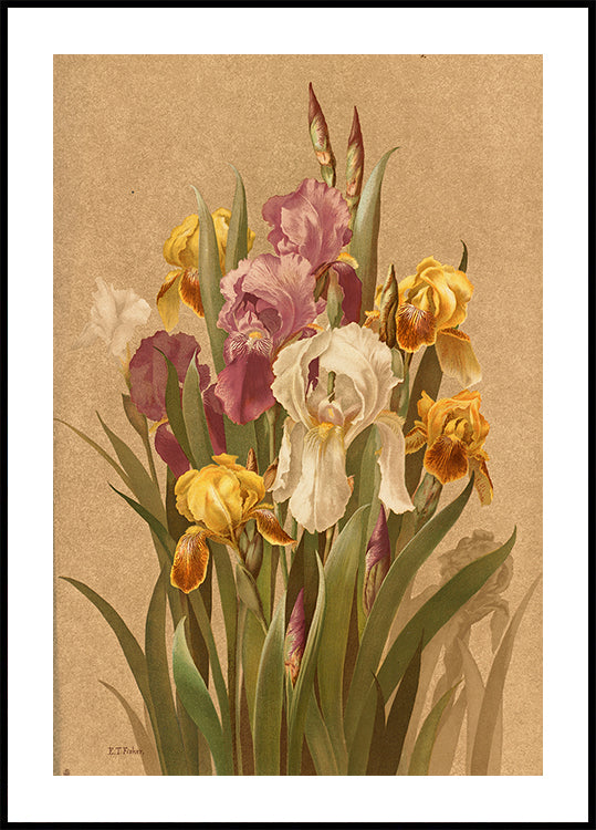 Fleur De Lis, No. 3 Poster