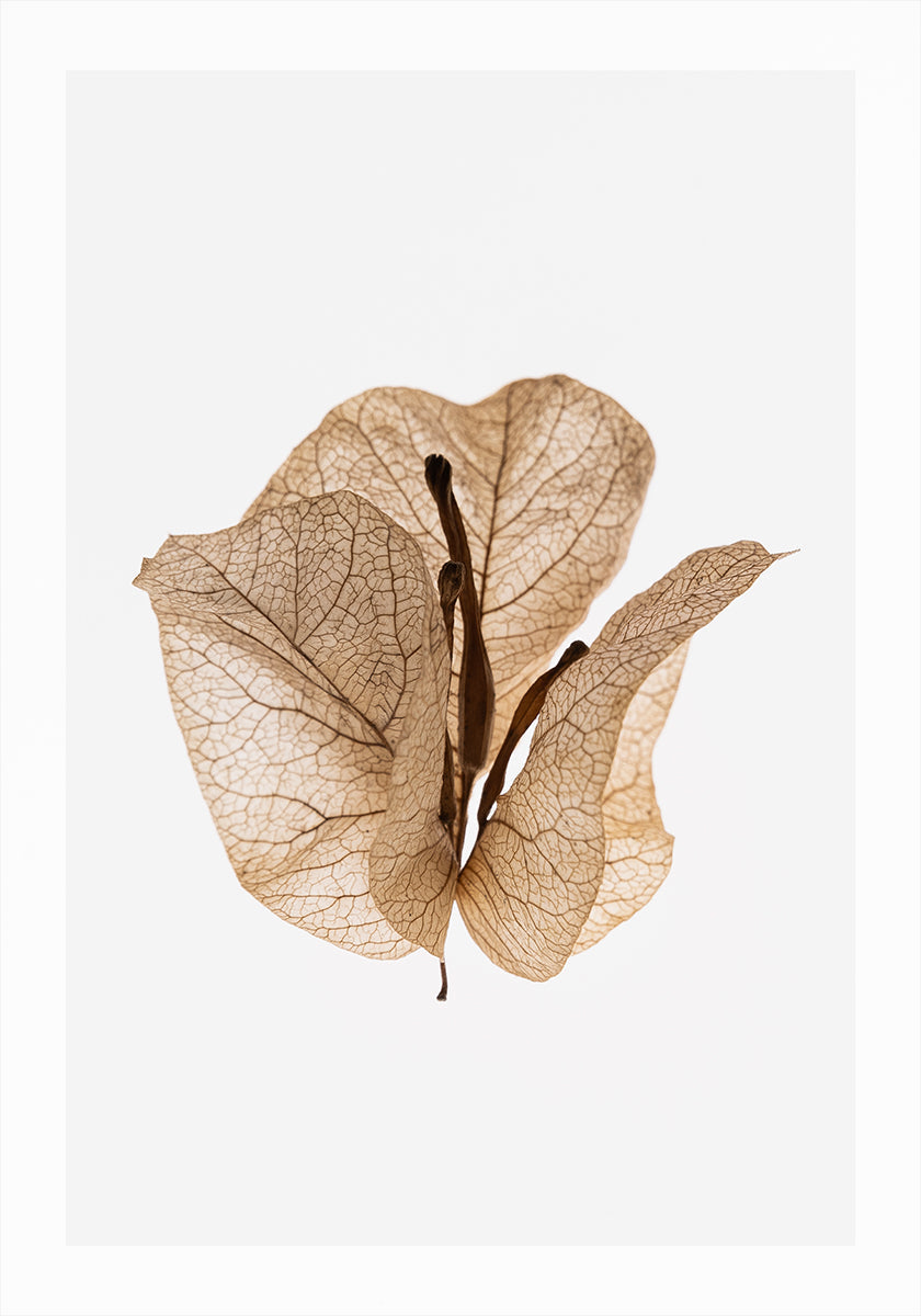 Gilded Pause Poster