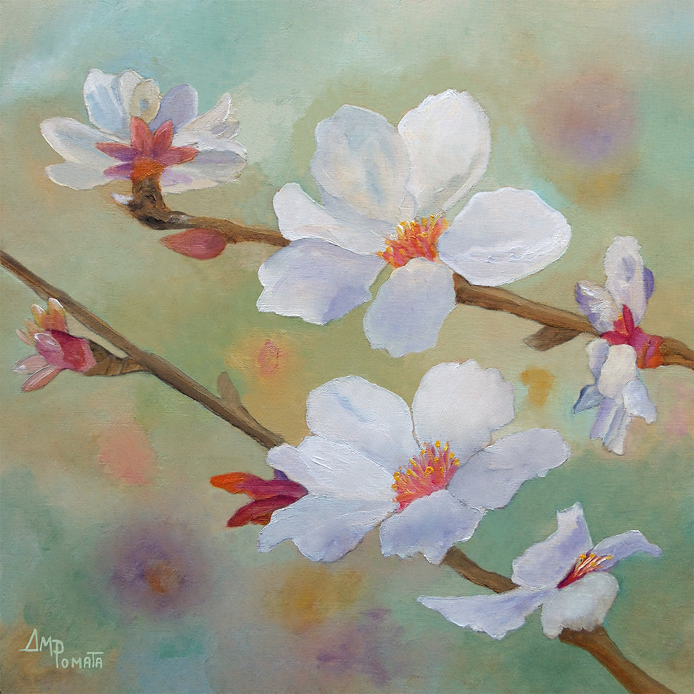 Almond Blossoms Iii Poster