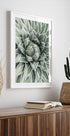 a picture of a green plant in a white frame