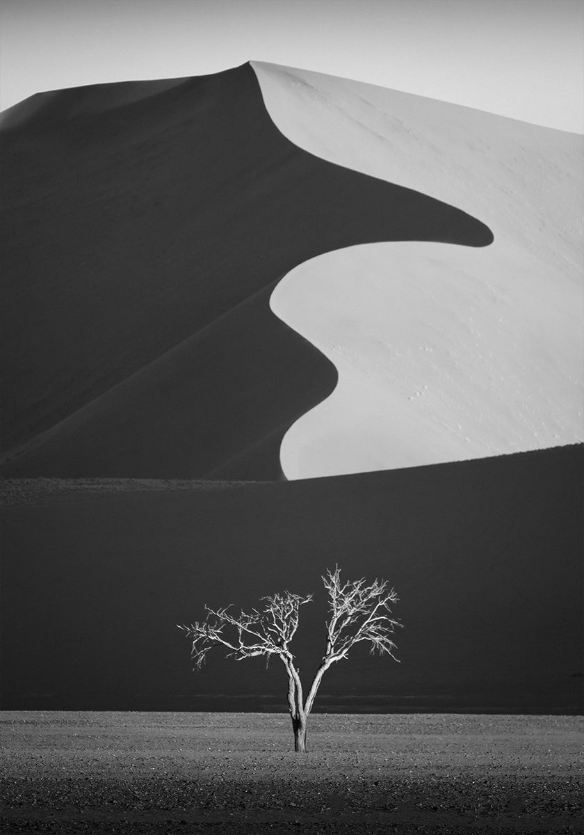 Light & shadow Poster