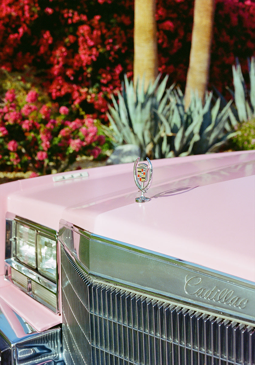 Palm Springs Ride III Poster