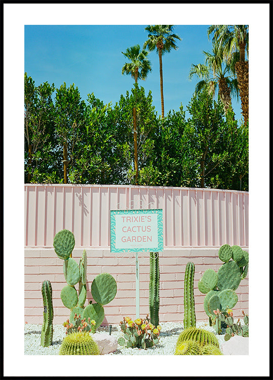 Pink Palm Springs IV Poster