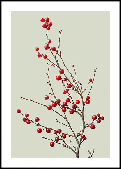 a small tree with red berries on it