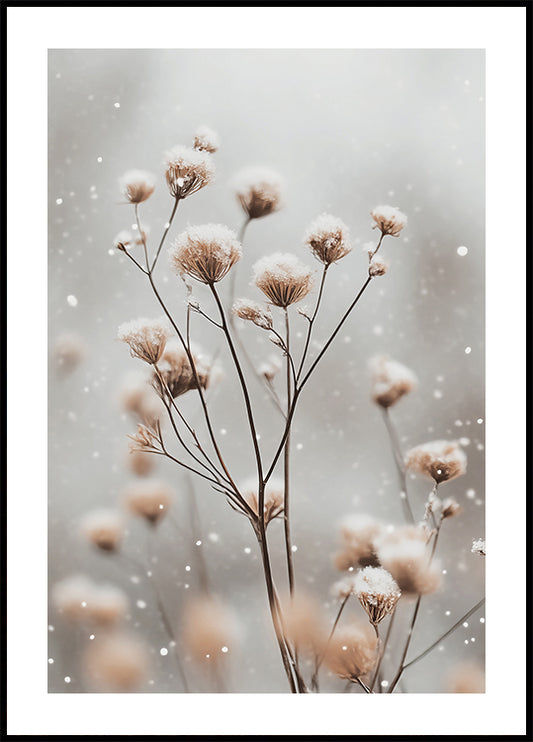 a picture of a bunch of flowers in the snow