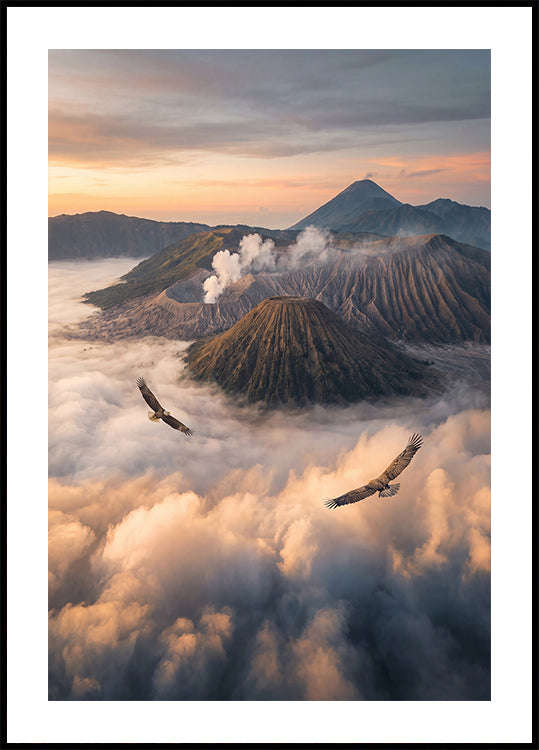 Eagles Fly Free Poster