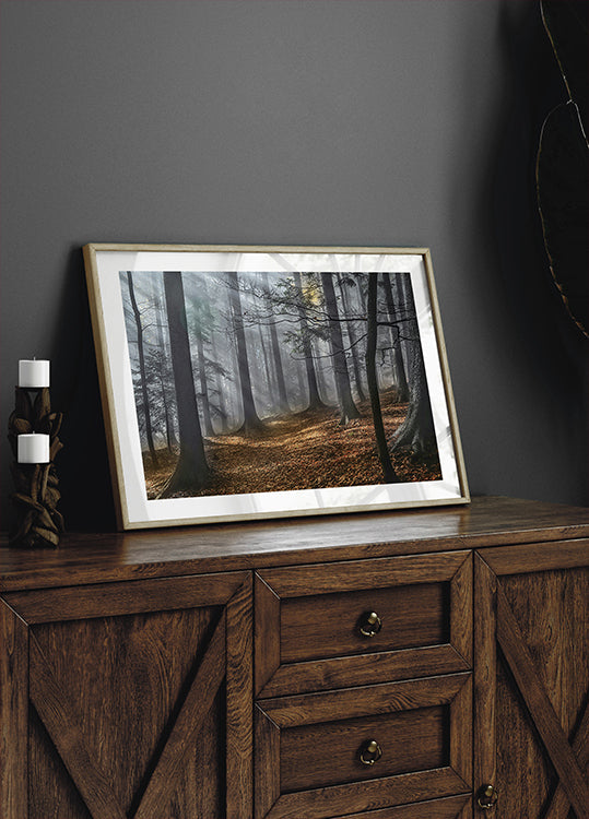 Enchanted forest Poster