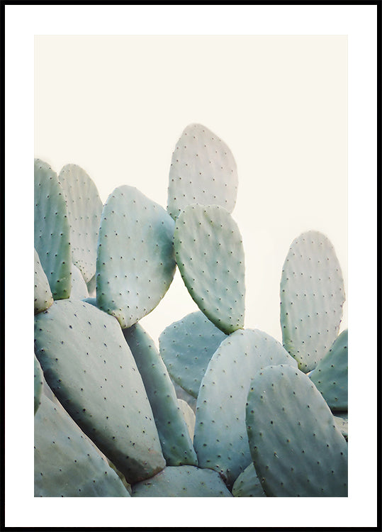 Pastel Cacti Poster