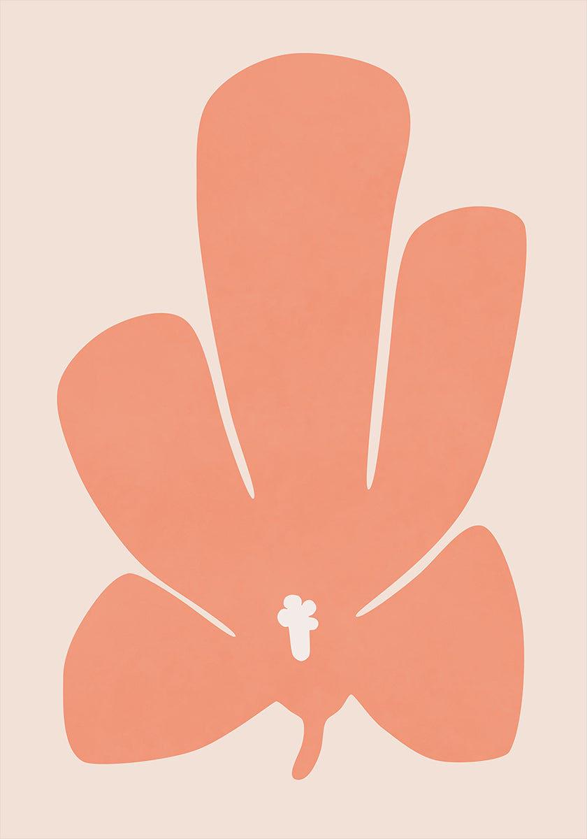 Coral Tulip Flower Poster
