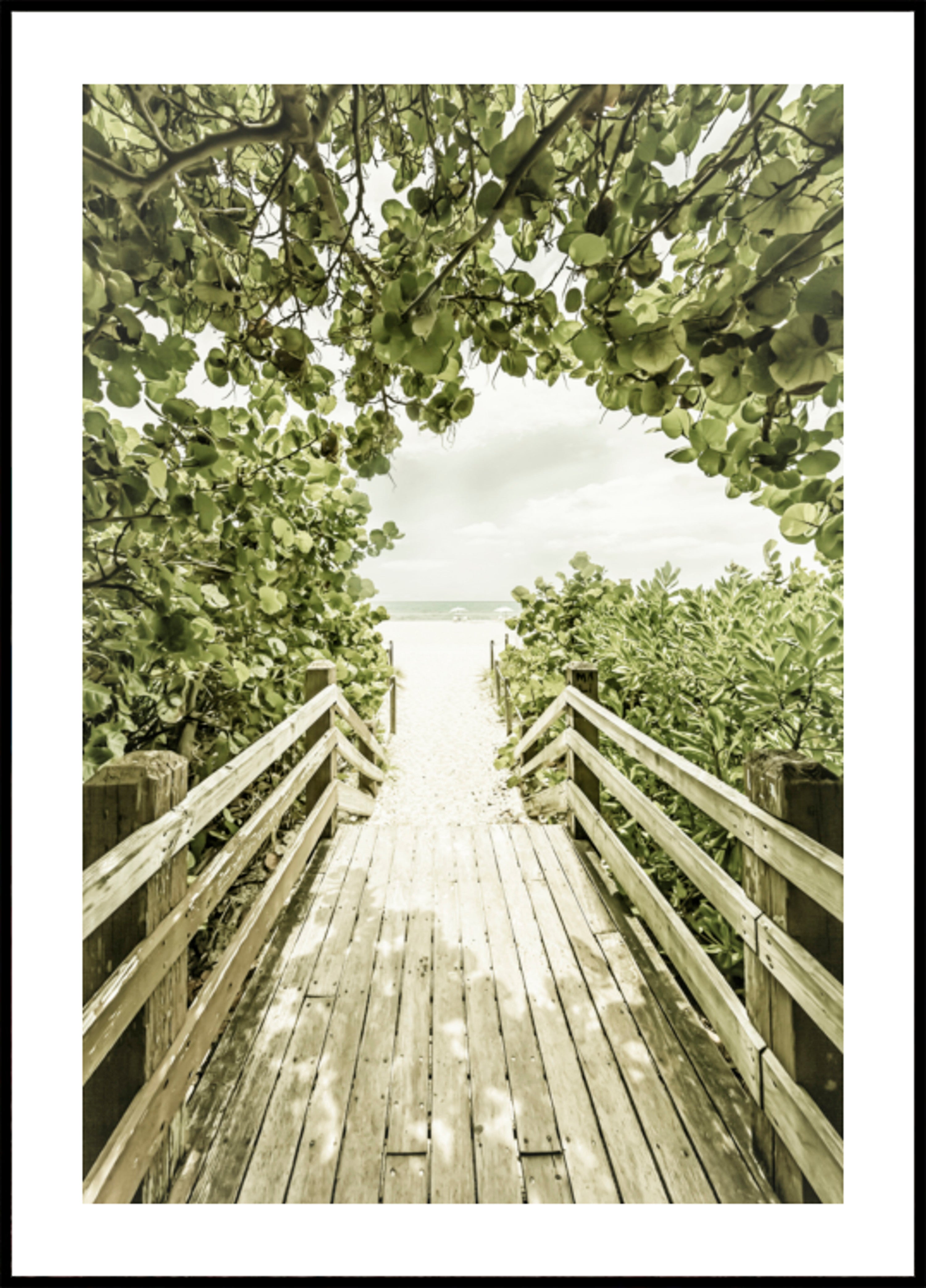 Tropical Beach Path