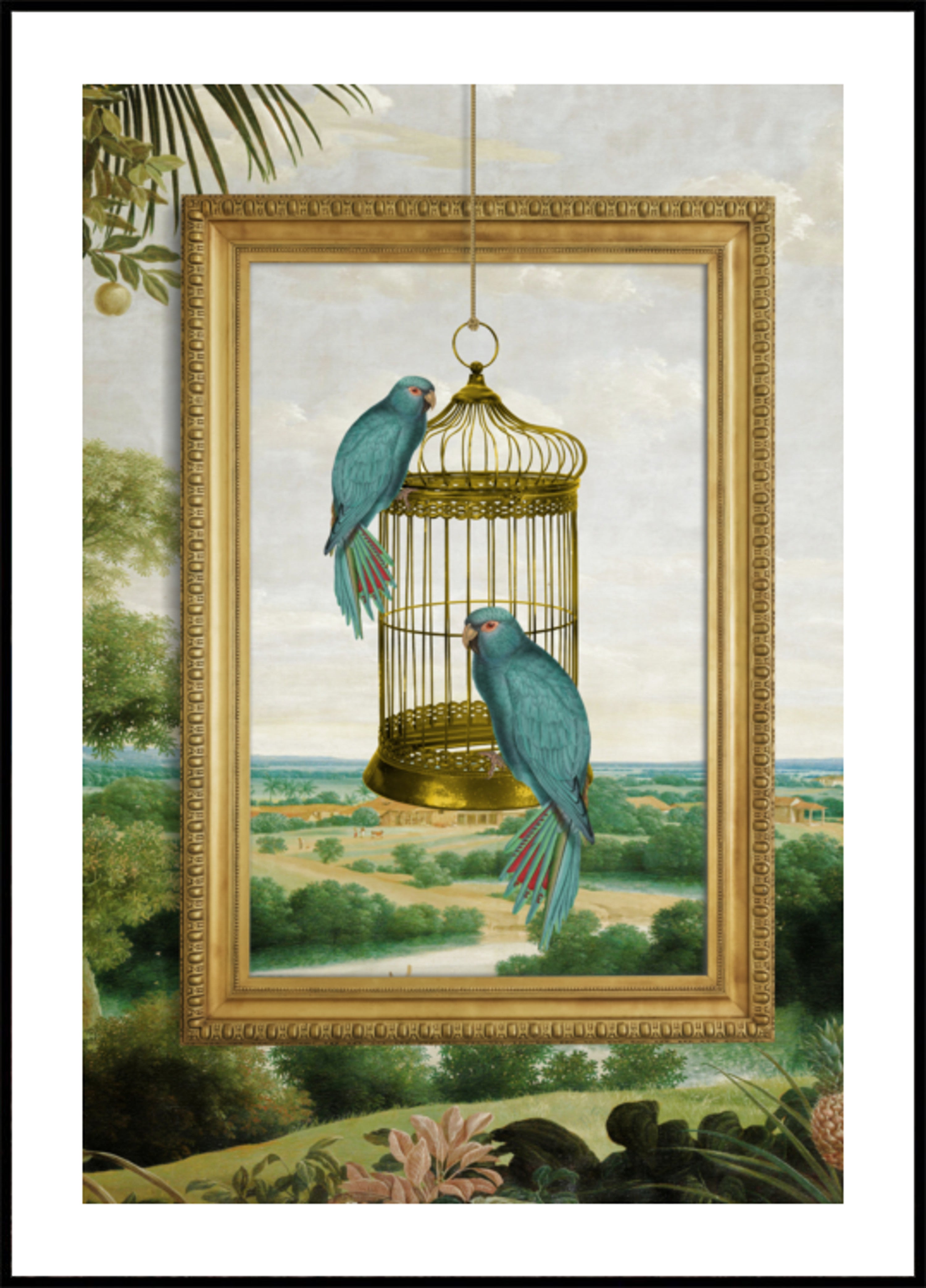 Blue Parrots Golden Cage