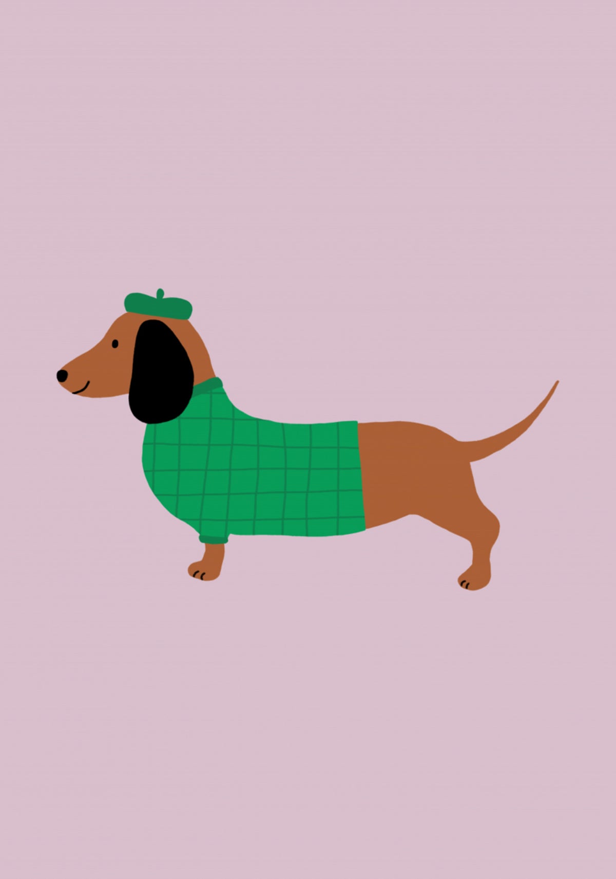 Dapper Dog in Sweater