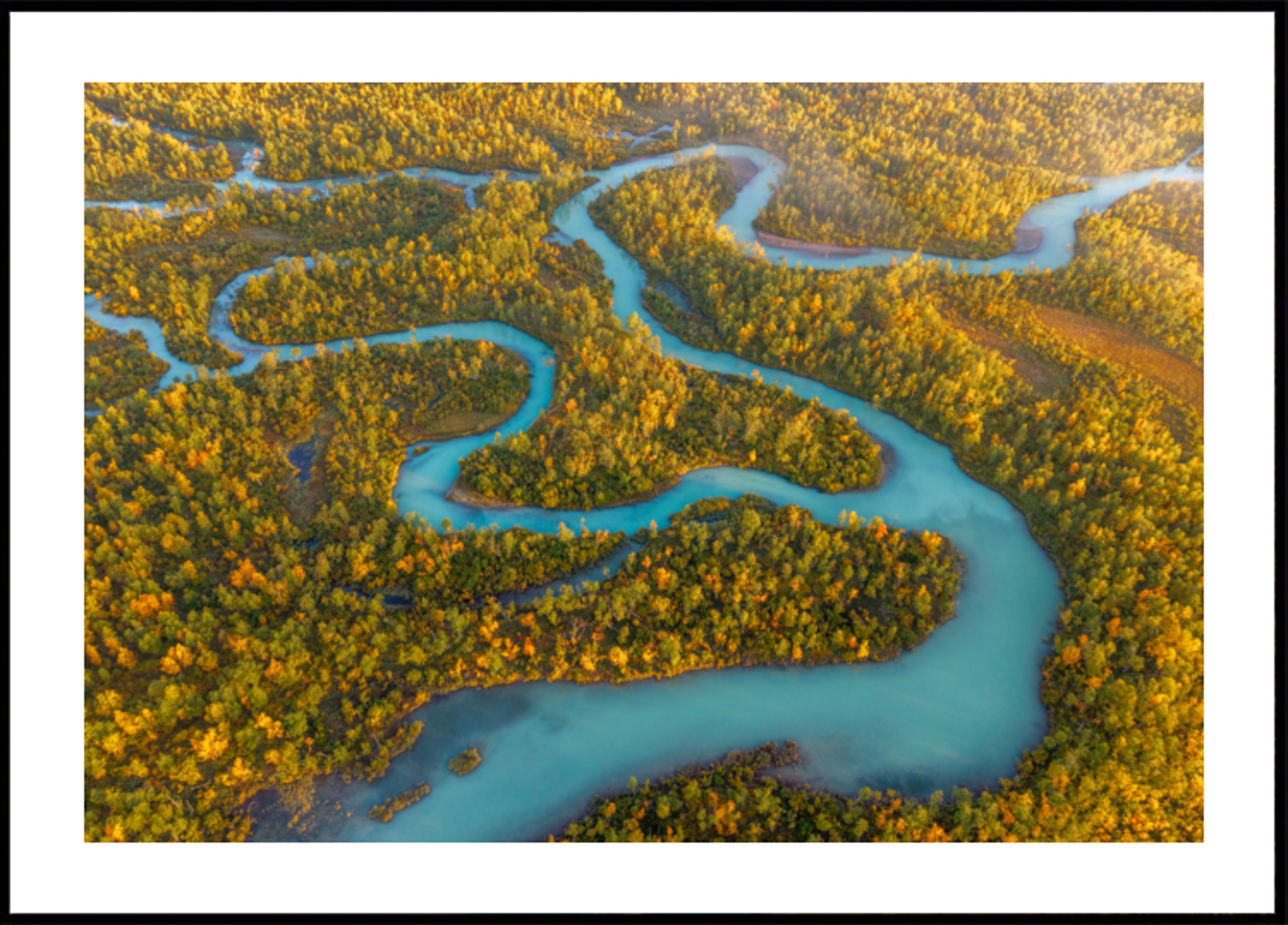 Winding River Autumn Forest
