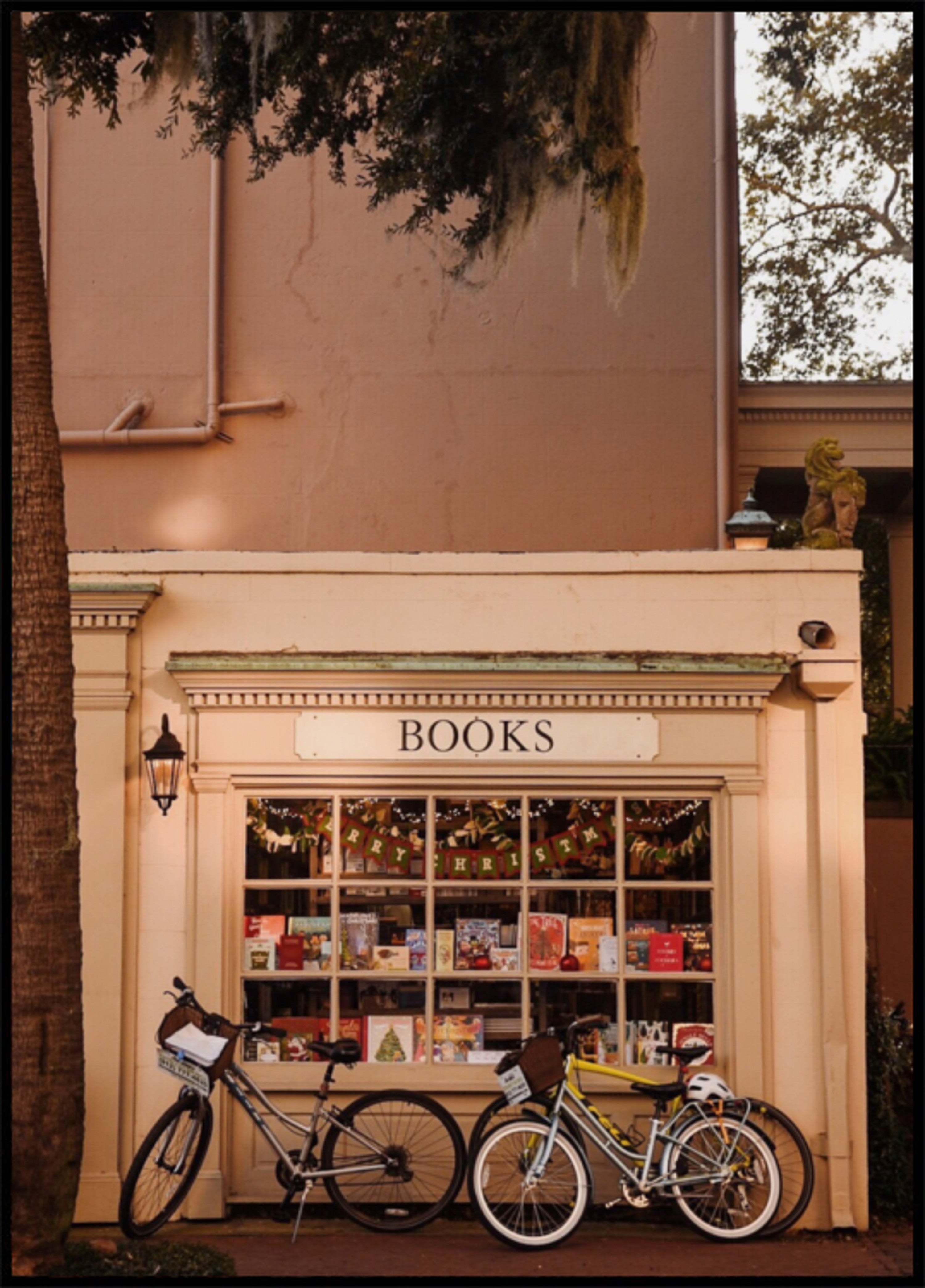 Charming Bookstore Street Scene