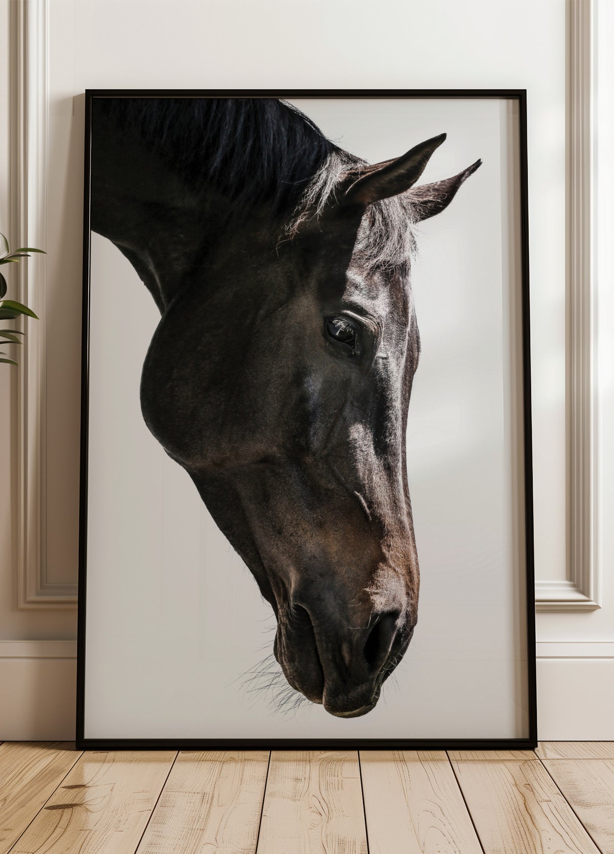 Gentle Equine Gaze