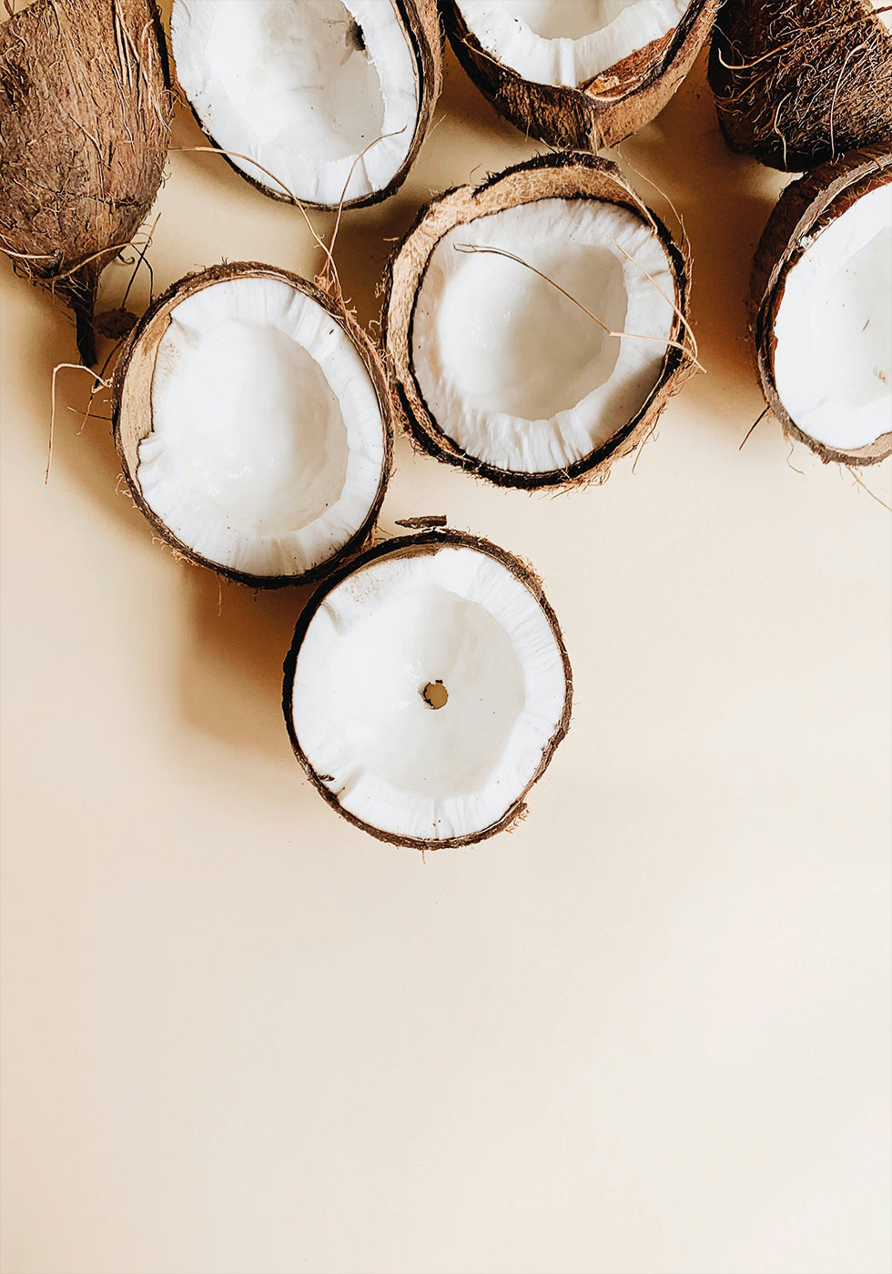 Coconut Poster