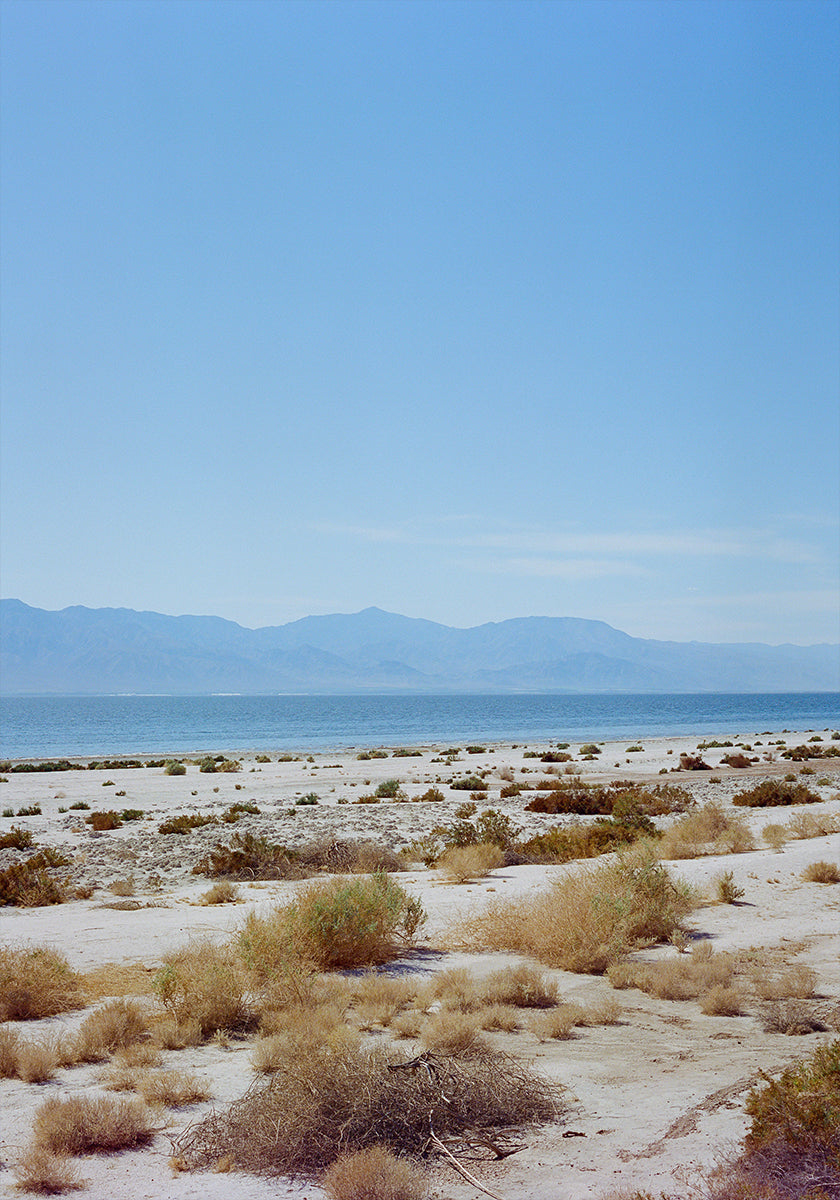 Bombay Beach Spring II Poster