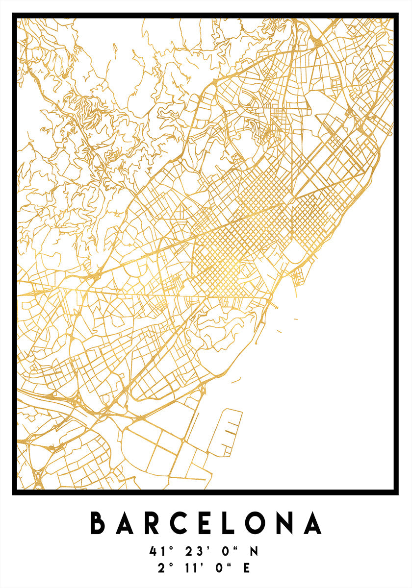 1 Maps 11 Poster