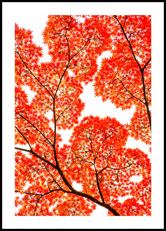 Geometry of Autumn Silence Poster