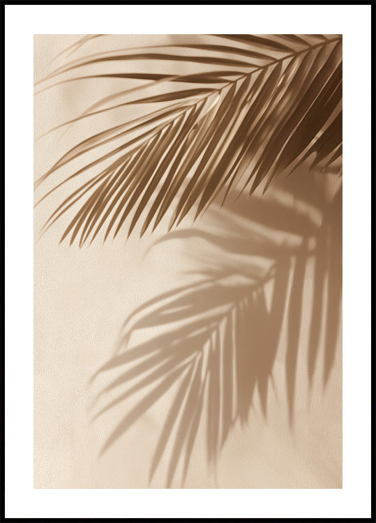 Palm Leaf Shadows Poster