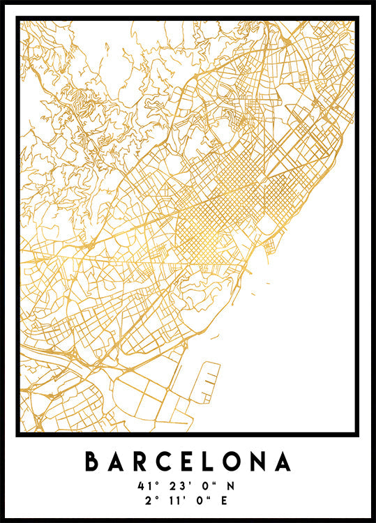 1 Maps 11 Poster