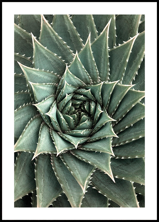 a close up of a large green plant