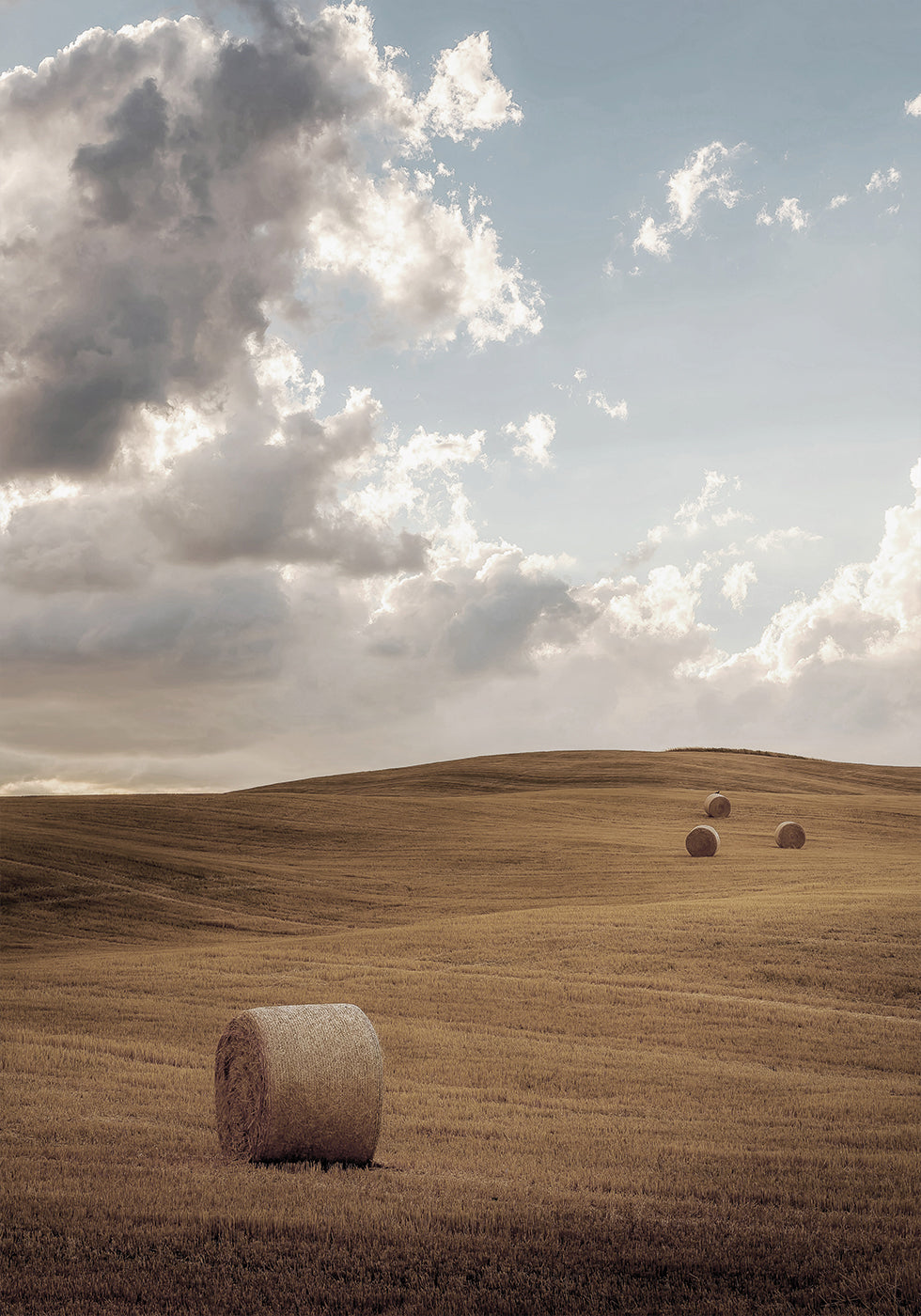 Field with Bales of Hay Poster