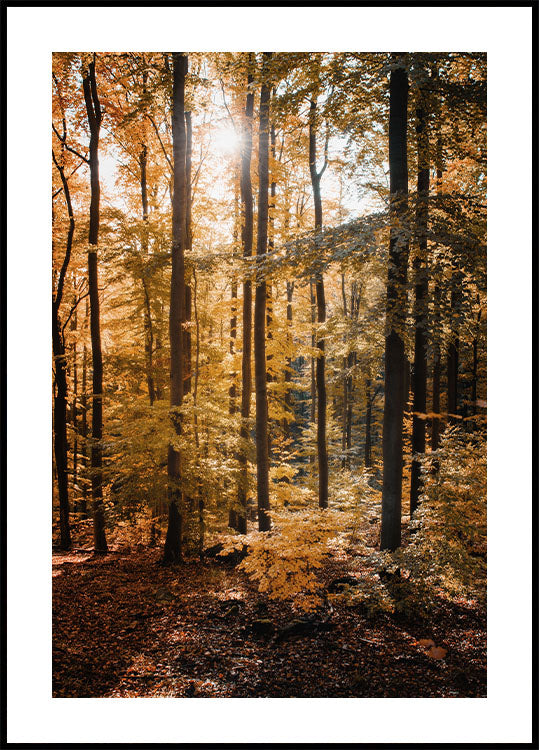 Golden Autumn Forest Poster