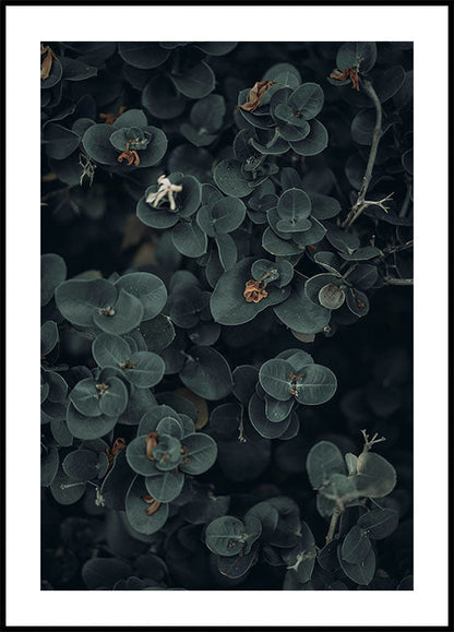 Dark And Green Botanical Poster