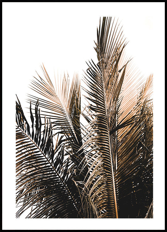 Palm Leaves No. 1 Poster