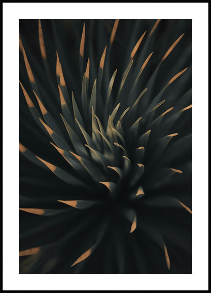 Spiral Plant Texture Poster