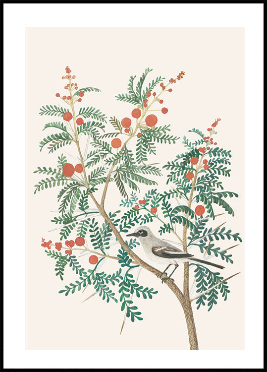 Bird And Red Berries Poster