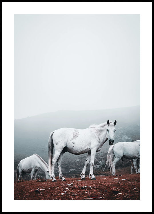 White Horses in The Fog Poster