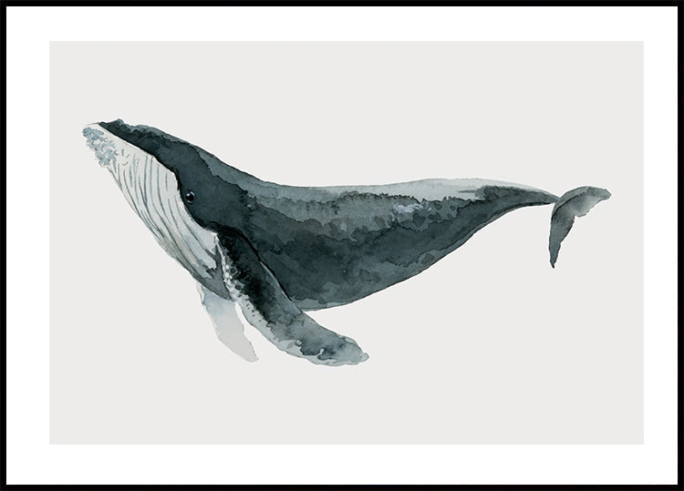 Watercolor Whale Poster