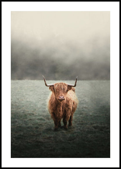 Yak in The Field Poster