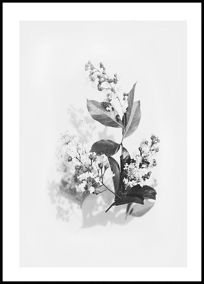 Floral arrangement No. 2 Poster